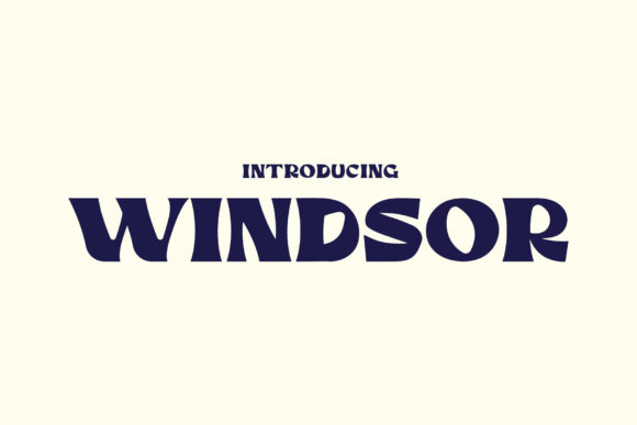 Windsor: A Groovy Font for Business Branding